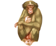 Macaque ##STADE## - robe 54